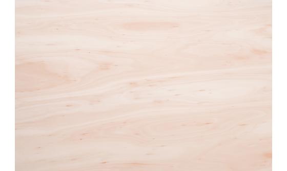 EUCALYPTUS HARDWOOD PLYWOOD 10FT X 4FT WBP CP/CP 3050 X 1220 X 18MM FSC100%