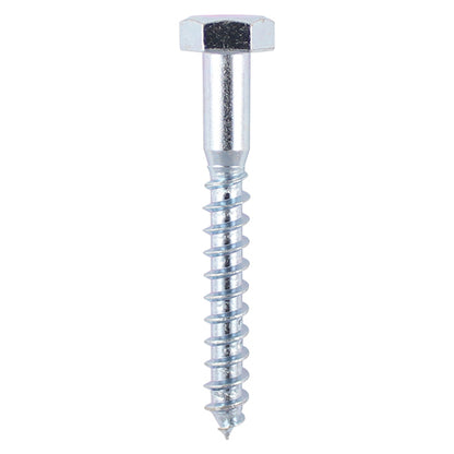 Timco Coach Screw (12 Variants Available )