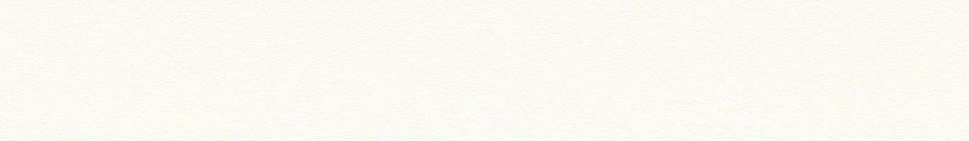 ABS  IVORY 12516    22mm X 2mm (100) - Woodworkers.ie - 