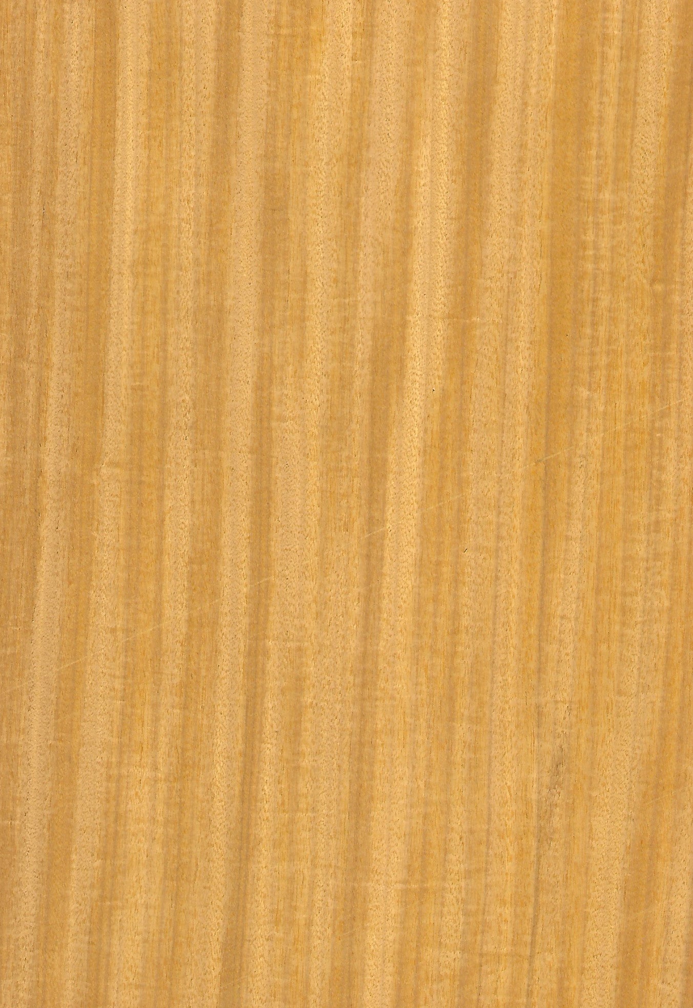 VENEERED MDF 2440 X 1220  ( 18  Variants available)