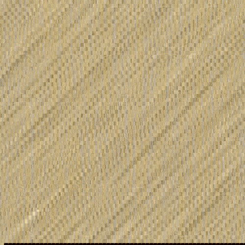 CAMBRIAN OAK ADHESIVE CAPS (376) - Woodworkers.ie - 
