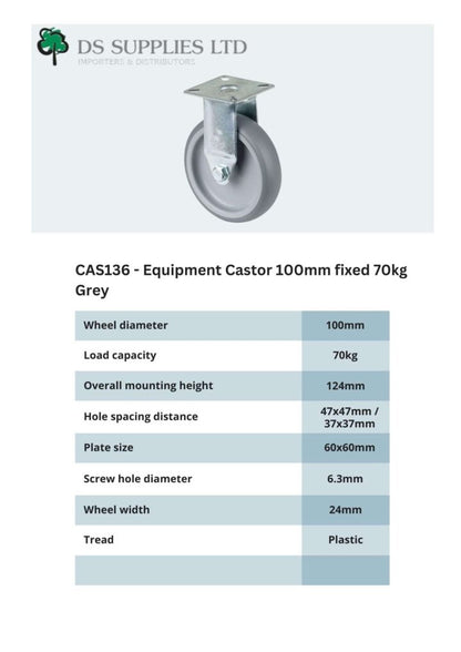 Equipment Castor 100mm Swivel, Fixed, Brake 70kg Grey