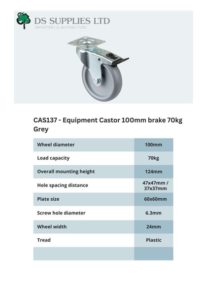 Equipment Castor 100mm Swivel, Fixed, Brake 70kg Grey
