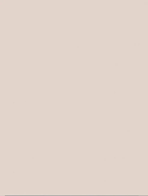 Melamine panels Finsa 2440 x 600 x  18 mm ( 11 VARIANTS)