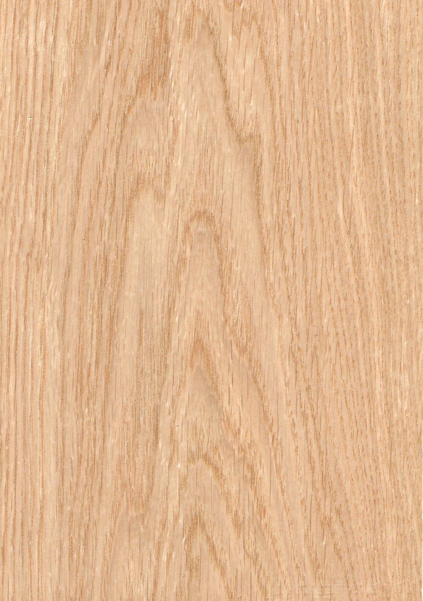 OAK VENEERED PLYWOOD 2500 X 1220 X 19MM