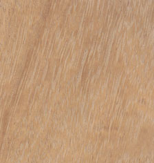 VENEER EDGE THICKWOOD IROKO 22MM X 2MM (100) - Woodworkers.ie - 