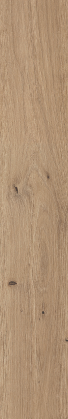 ABS EDGING ROBLE AMAZONAS FINSA 22 X 1 X 50MT