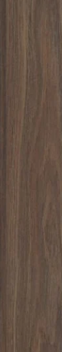 ABS EDGING ROBLE PALMA FINSA 22 X 1 x 90MT
